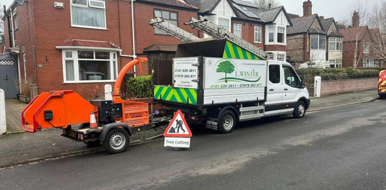 Tree Care Professionals